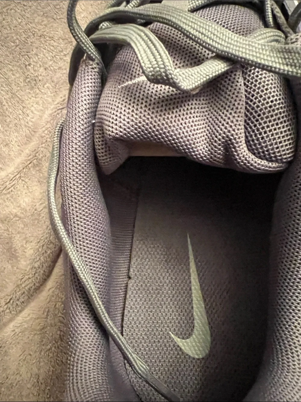 Nike Gray Air Max DN Sneakers